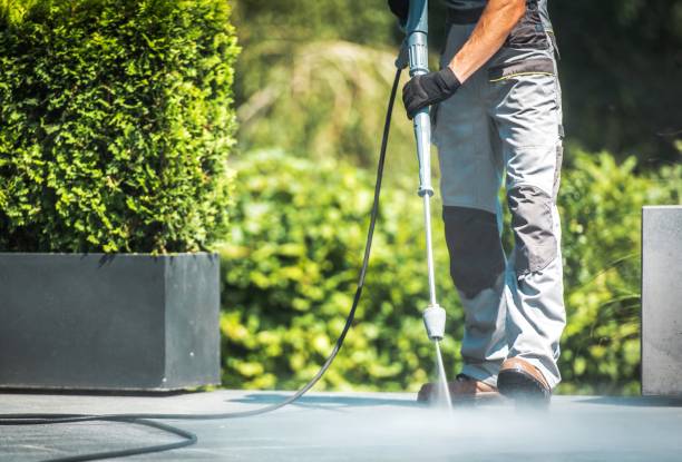 Best Heavy Equipment Washing  in Carrizo Hill, TX