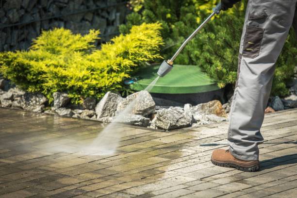 Best Driveway Pressure Washing  in Carrizo Hill, TX