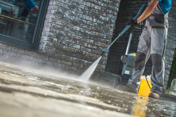 Best Rust Removal  in Carrizo Hill, TX