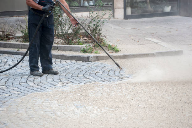 Best Fence Cleaning  in Carrizo Hill, TX