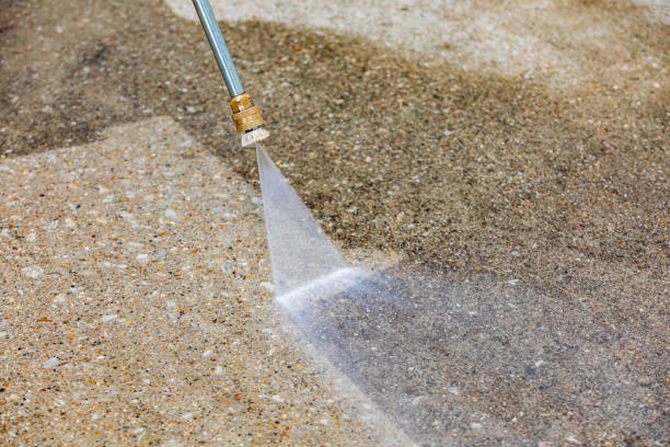 Best Patio and Deck Pressure Washing  in Carrizo Hill, TX