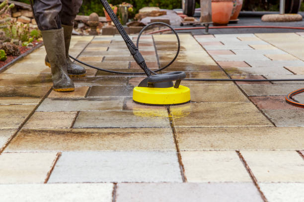 Best Sidewalk and Walkway Cleaning  in Carrizo Hill, TX