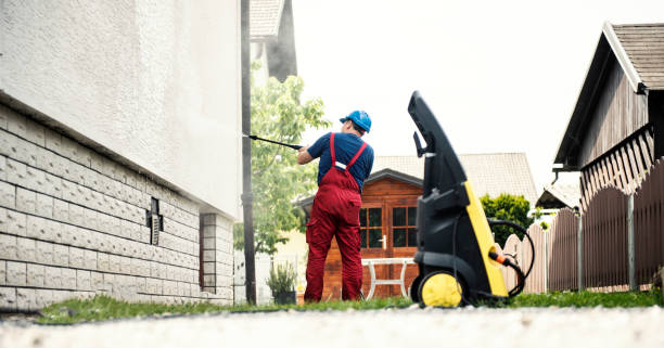 Best House Exterior Washing  in Carrizo Hill, TX