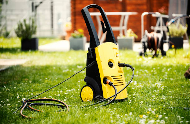 Best Roof Washing  in Carrizo Hill, TX